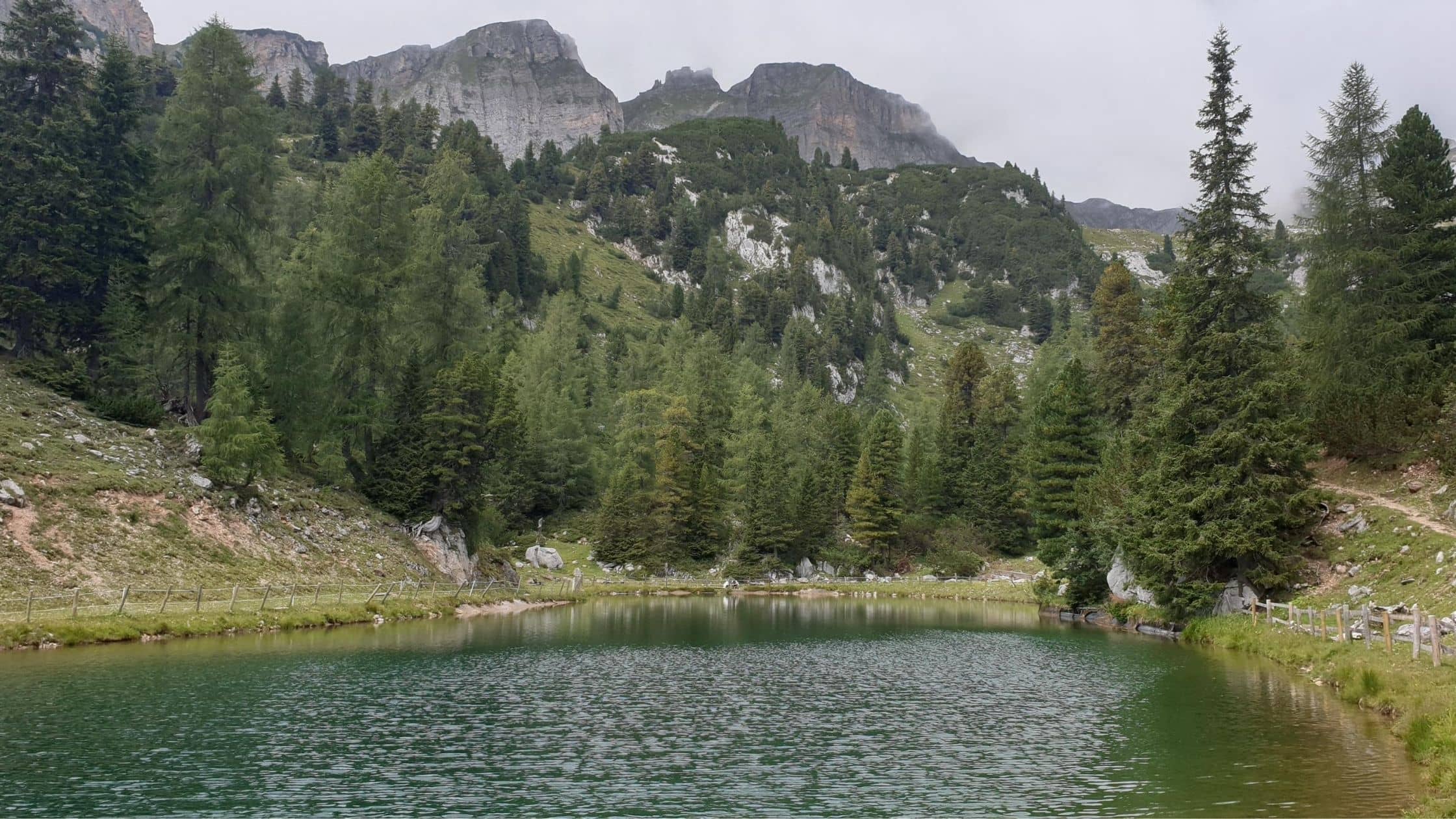 The lake with pine trees and the mountain in the backdrop